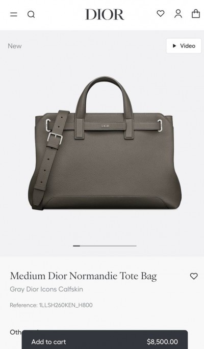 Сумка Dior Normandie Medium