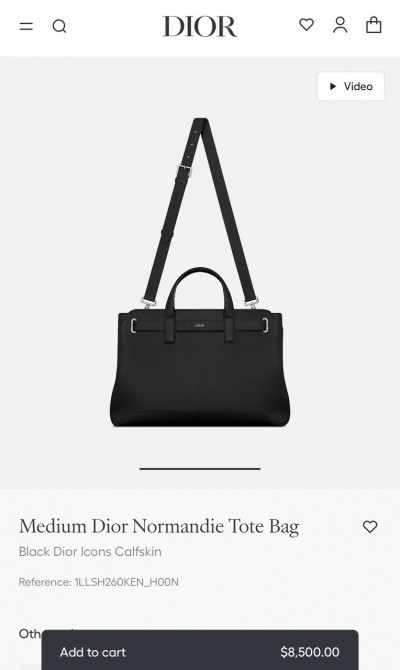 Сумка Dior Normandie Medium 