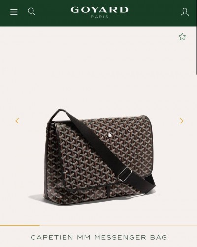 Сумка Goyard Capetien MM 