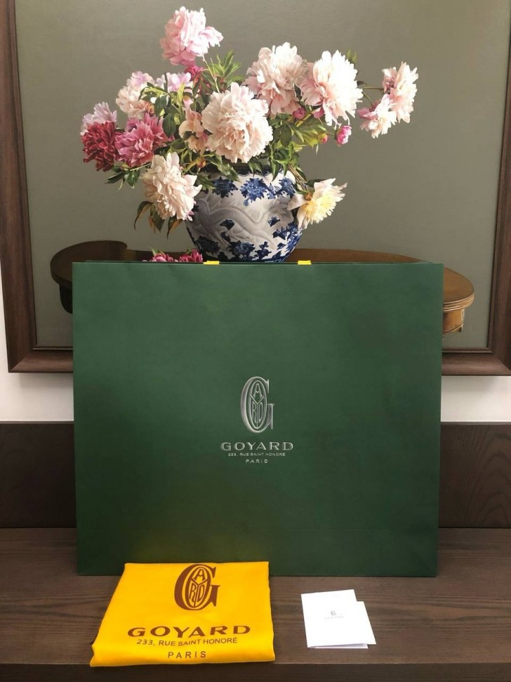 Рюкзак Goyard Cisalpin 