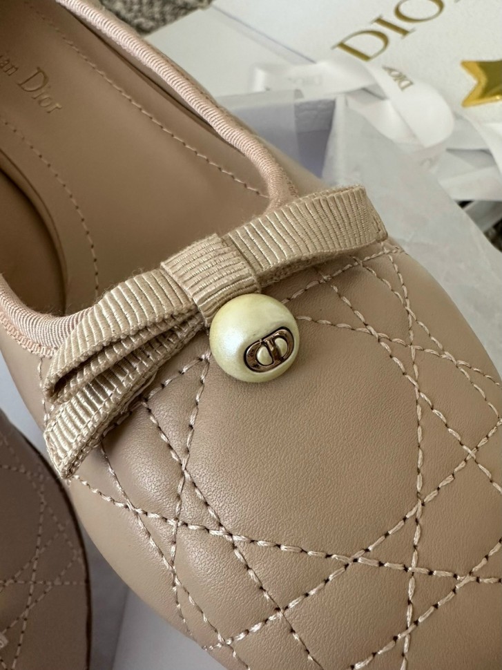 Туфли Dior