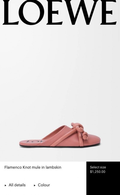 Мюли Loewe